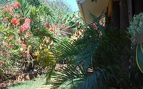 Jungle Flower Guest House Puerto Princesa